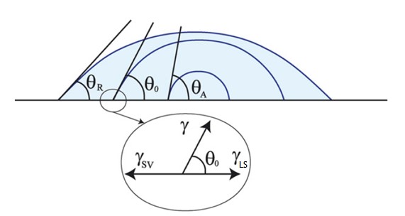 前進(jìn)/后退角
